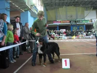  юниоры - отл JCAC ELZA-LUCIA.webp