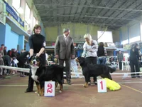  Клеопатра и Хризантема.webp