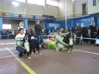  Мудрый отл RCAC и Орсино отл САС - откр. класс.webp