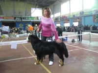  кобели 3 отл - ОСКАР.webp