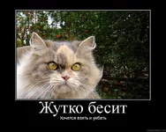 бесит.webp