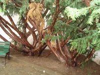 DSC06476.JPG