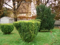 DSC06517.JPG