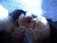 IMAG0004.webp