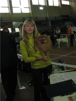 176c324c1ead.webp