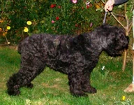  2009 192.webp
