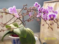 100_3628.webp