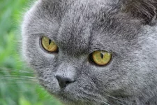 z_b31d8bef.webp
