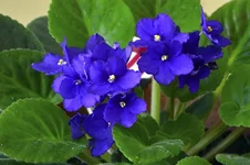 _DSC4865 777 b.webp