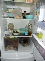 SAM_1930.webp