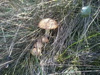 -0163.webp