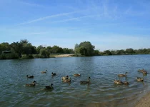 IMG_1243.webp