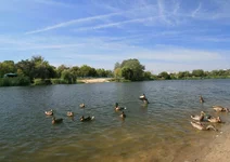 IMG_1244.webp