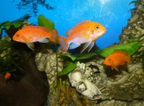 .P1410825.webp