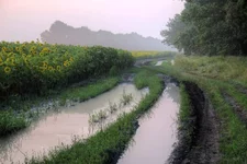 DSCF4532.webp