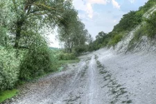 DSCF4868.webp