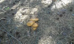 IMAG0298.webp