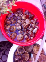 20160708_181312.jpg
