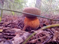 20160708_151955.jpg