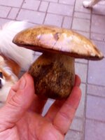 20160710_171356.jpg