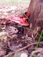 20160802_072152.jpg