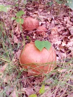 20160711_134728.jpg