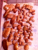 20160712_105258.webp