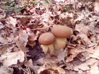 20160730_131430.jpg