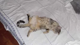 Image0000110.webp
