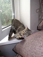 Image0000410.webp