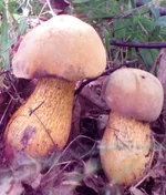 20160708_155121.jpg