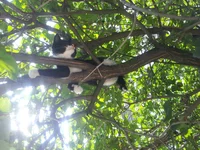 20160803_131600.webp