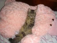 image (14).webp