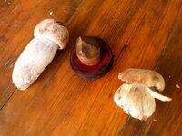 20160811_182313.jpg