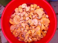 20160811_182334.jpg