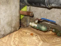 DSCN4675.webp