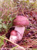 20160813_170808.jpg