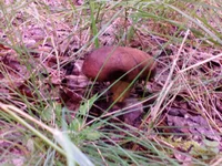 20160813_170415.webp