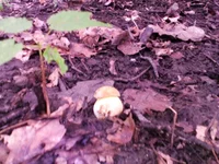 20160813_165401.jpg