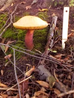 20160815_180606.jpg