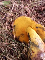20160815_181135.jpg