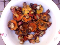 20160815_184105.webp