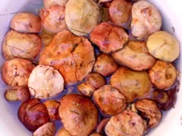 20160815_184402.jpg