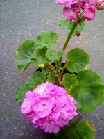 image (3).webp