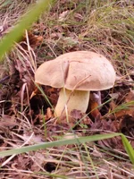 20160818_183632.jpg