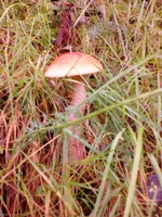 20160818_185522.jpg