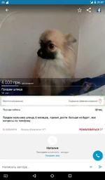 Screenshot_2016-08-19-21-07-58.webp