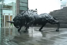 15.webp