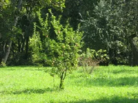 IMG_4985.webp
