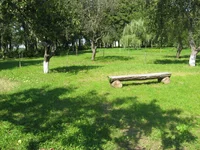 IMG_4987.webp